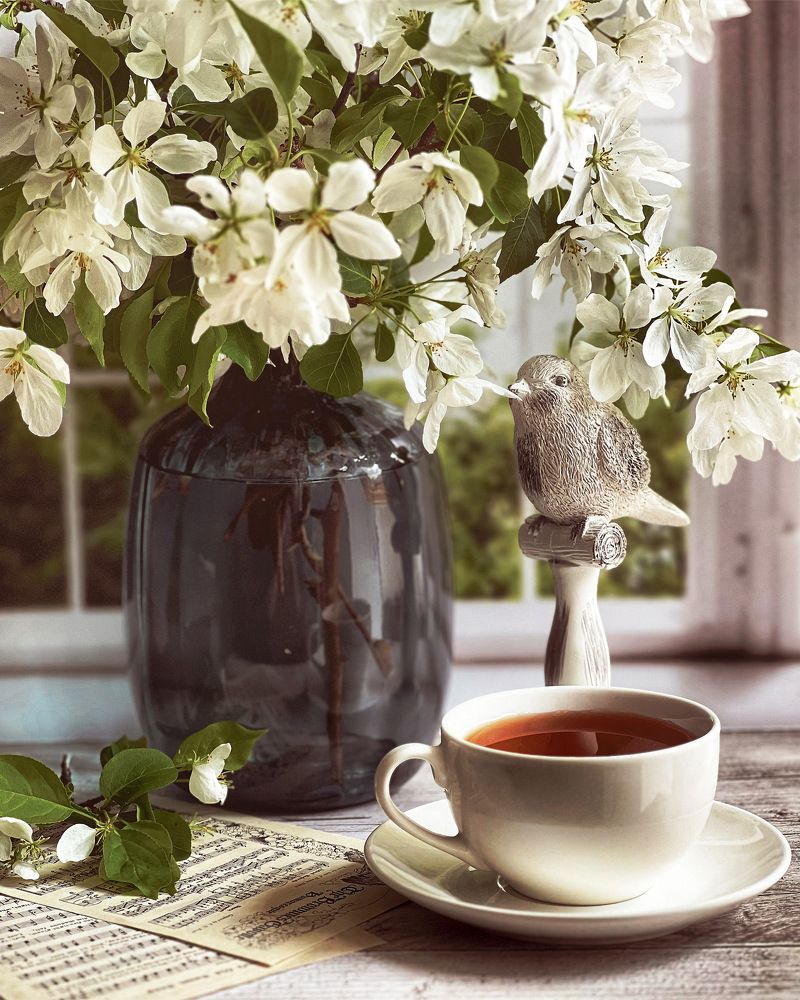 Photograph by 