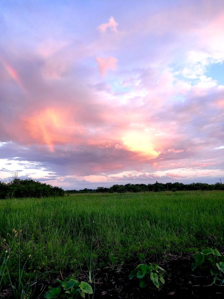 Photograph by Marina Kozlova