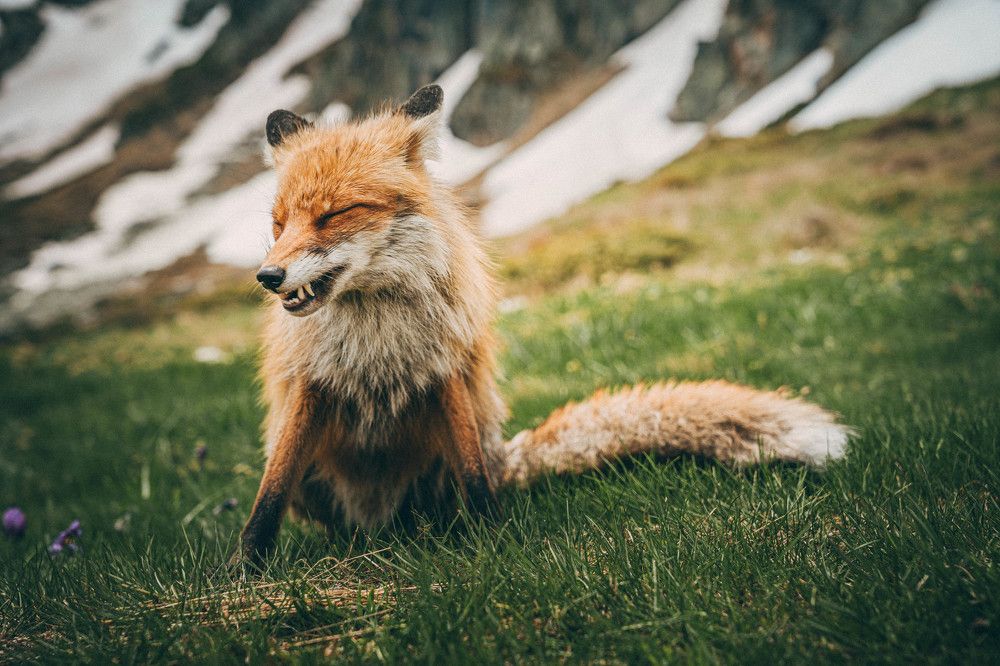 Photograph by Александр Дмитриев