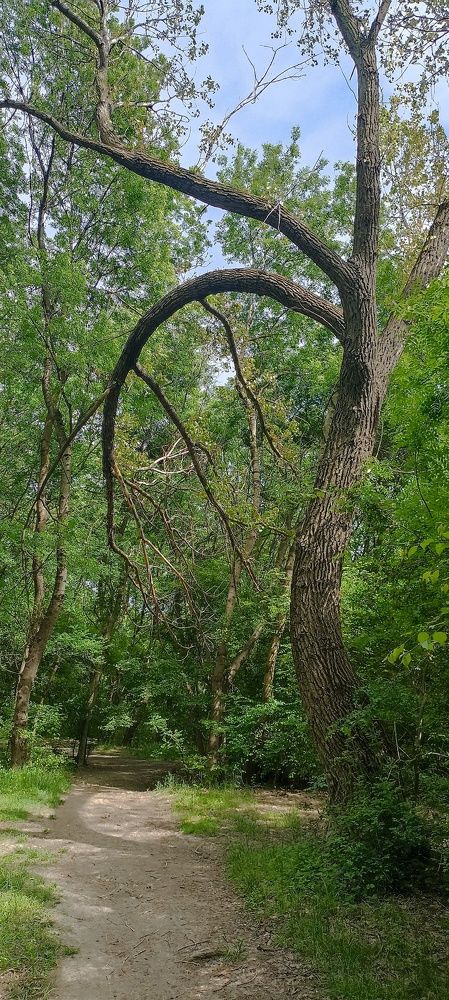 Photograph by Дмитрий Хайбулин