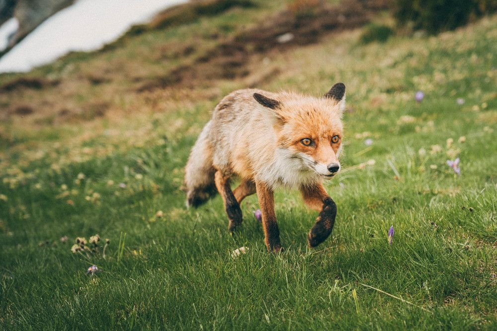 Photograph by Александр Дмитриев
