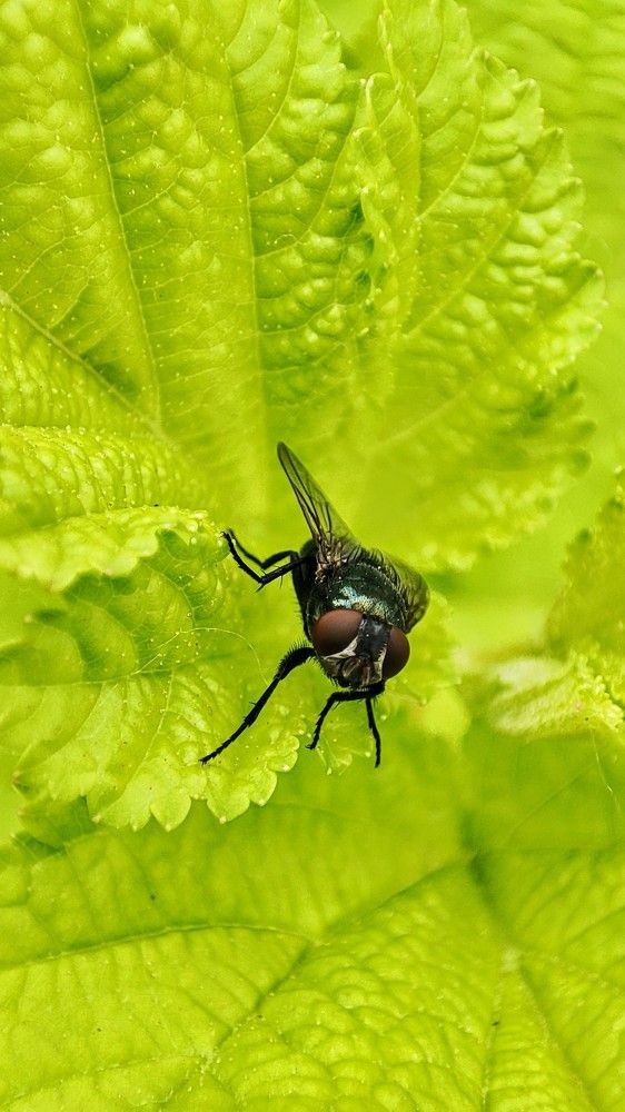 Photograph by Сергей Яковлев