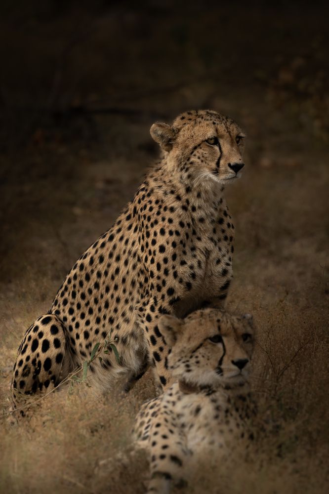 Photograph by Moses Maponya