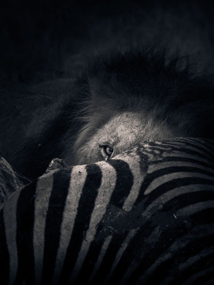 Photograph by Moses Maponya