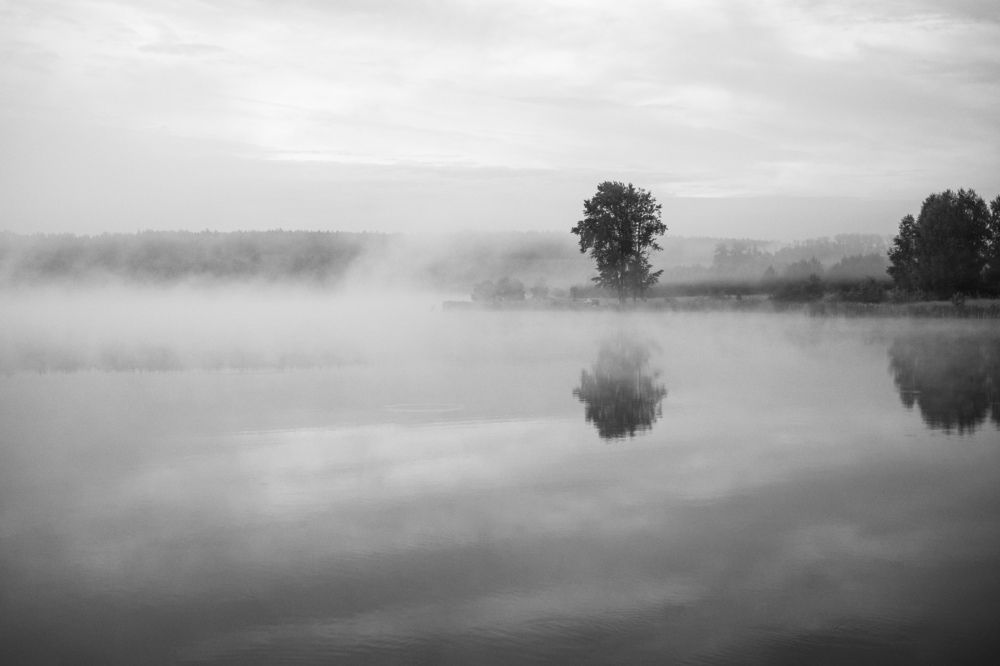 Photograph by Дмитрий Вершинин