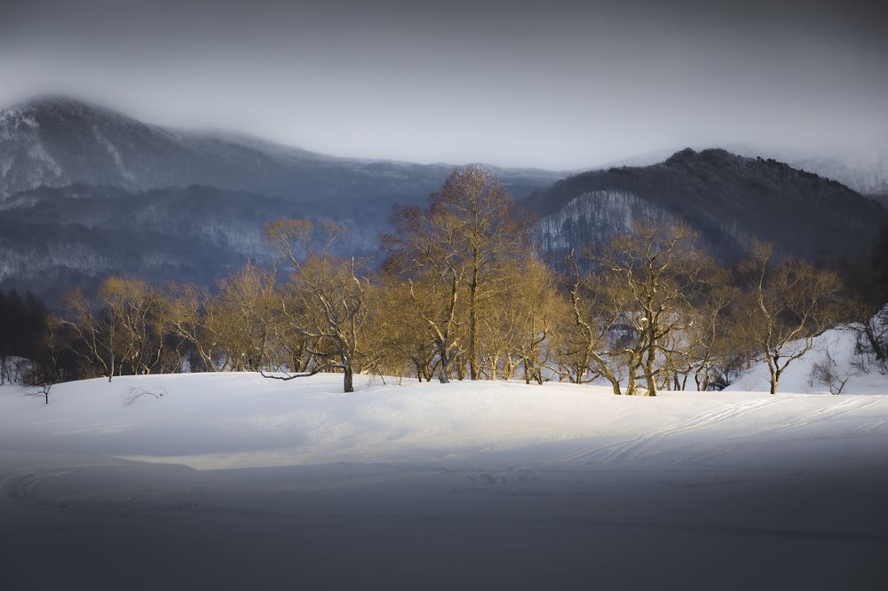 Photograph by photo_booooy