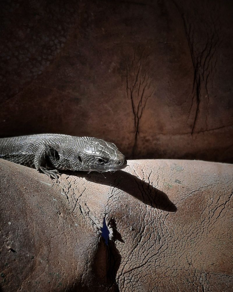 Фотография автора Ольга Кунакова