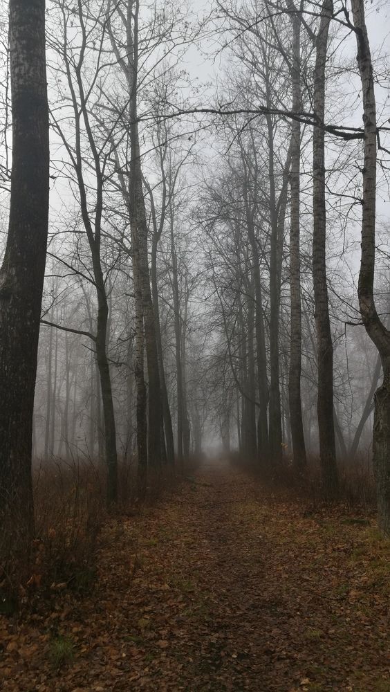 Photograph by Шевченко Алексей