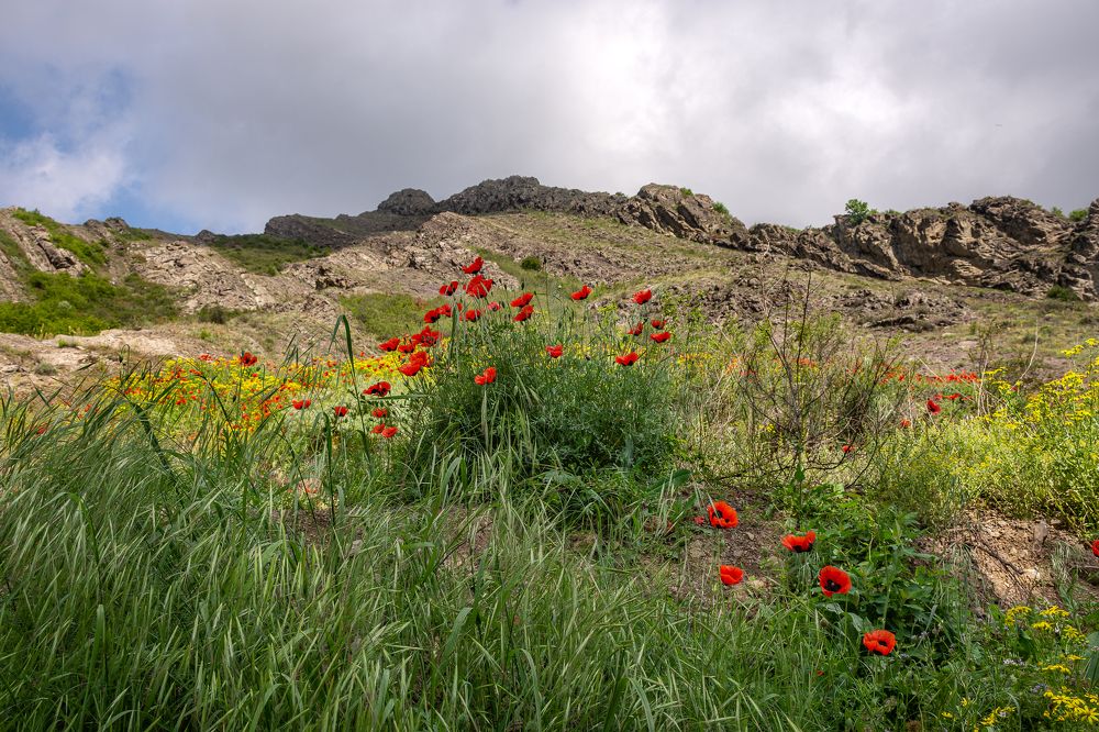 Photograph by Наталья Кокорина