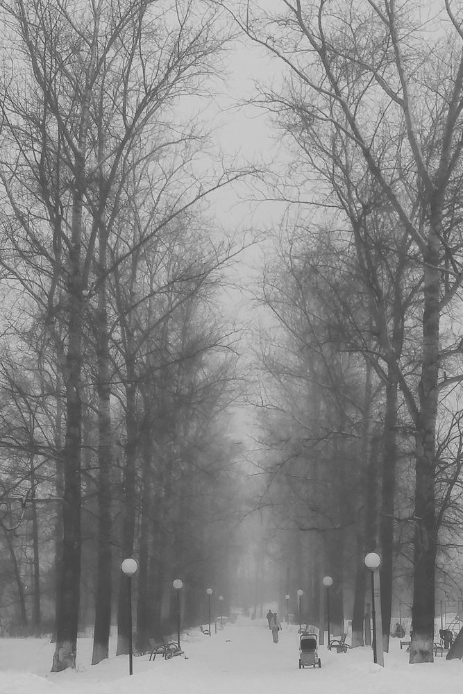 Фотография автора Ольга Кунакова