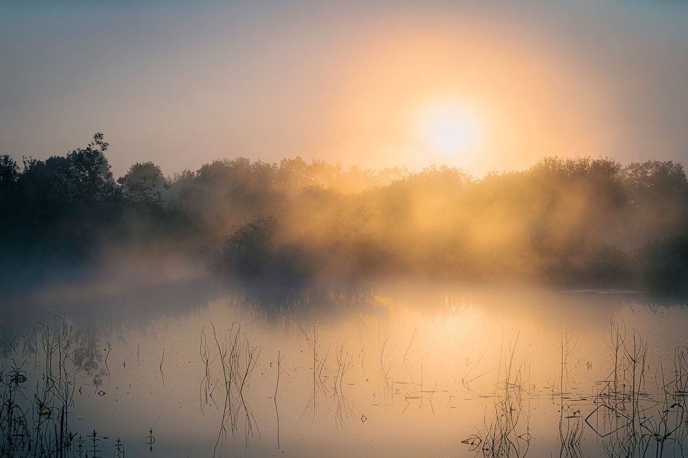 Молочные реки и ...