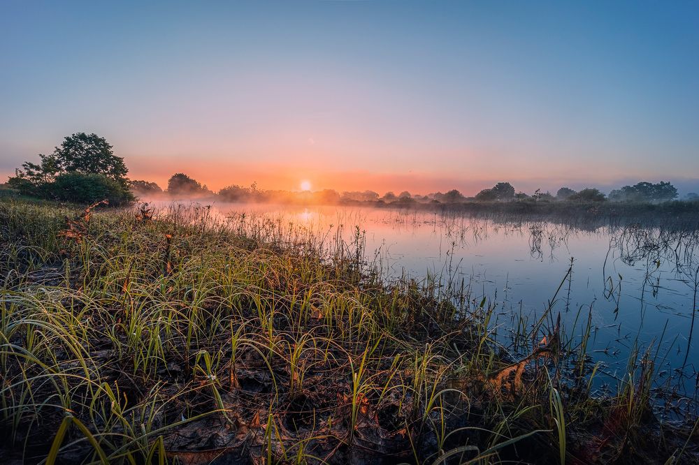 Утро на разливе