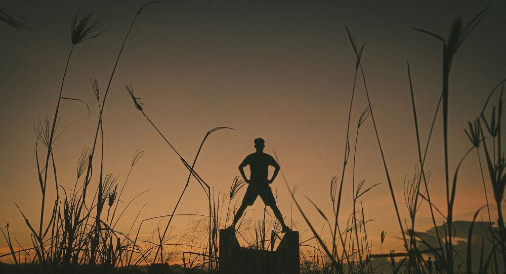Standing Tall: Shadows at Twilight