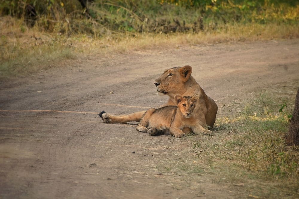 Photograph by Meet Patel