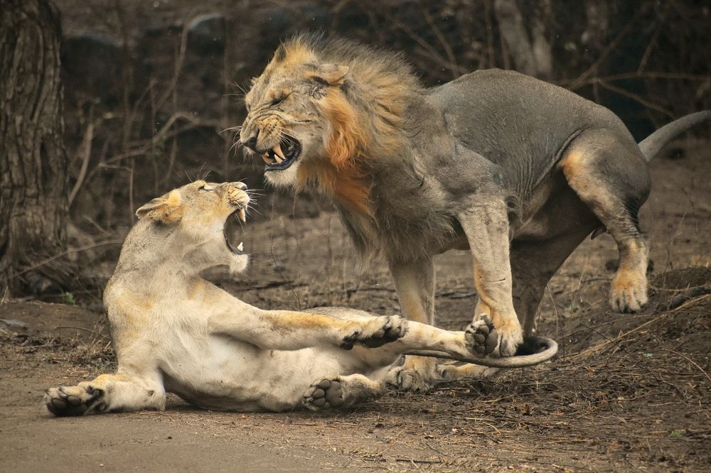 Photograph by Meet Patel