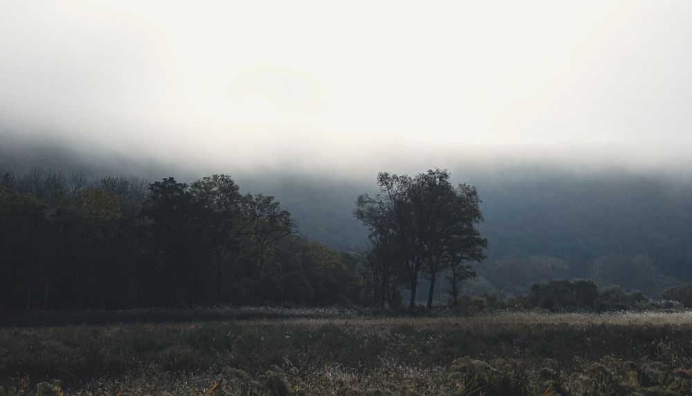 Photograph by Дмитрий Гончаров