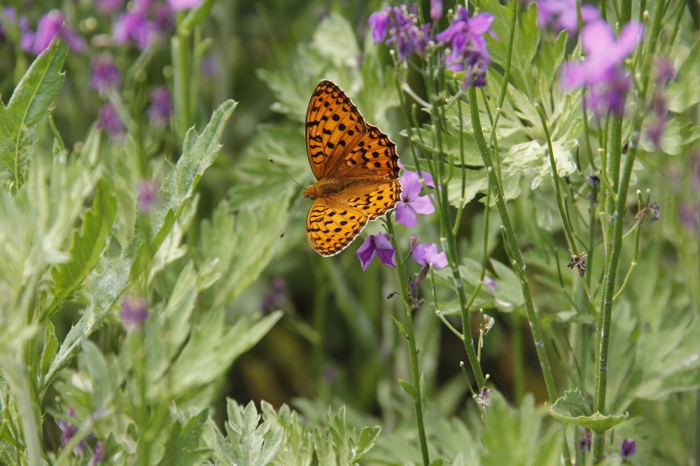 Photograph by Дмитрий Гончаров