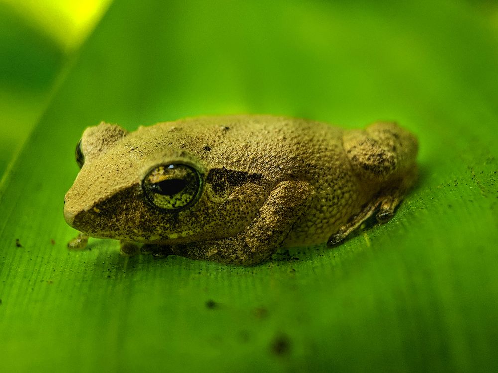 Photograph by sandhya kudli