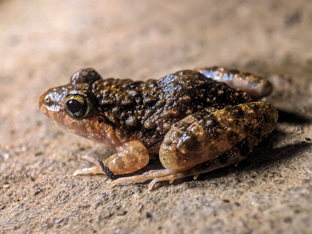 Photograph by sandhya kudli