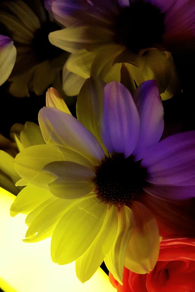 Photograph by Marina Kozlova