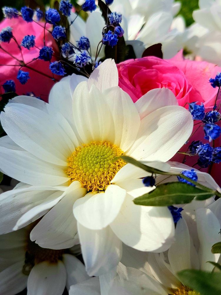 Photograph by Marina Kozlova