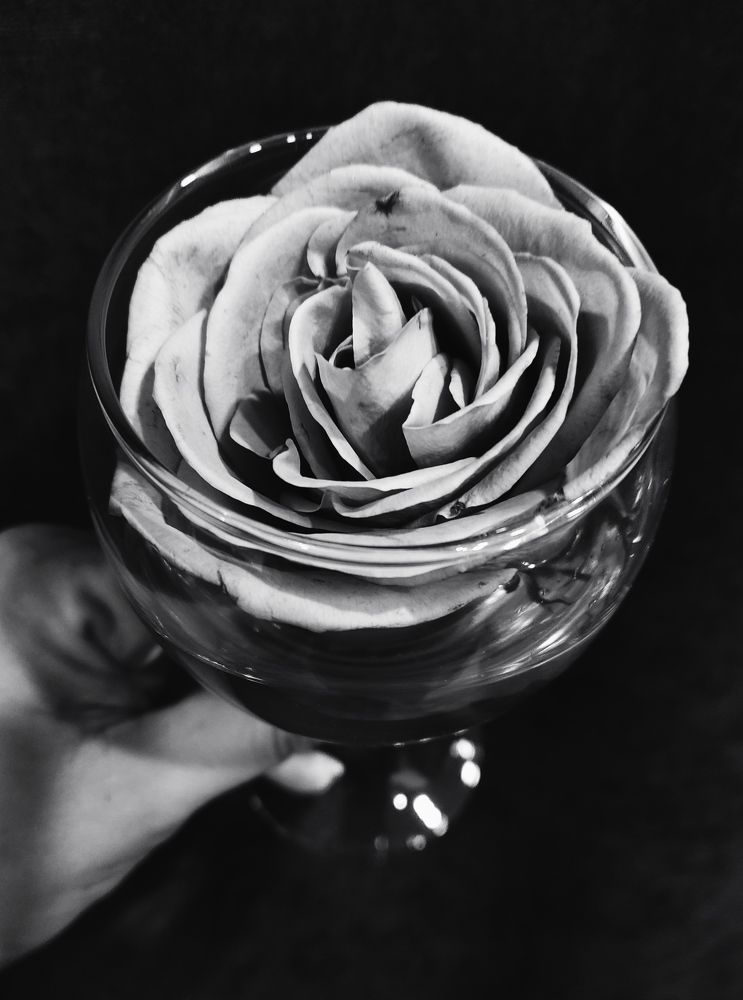 Photograph by Ольга Бондаренко