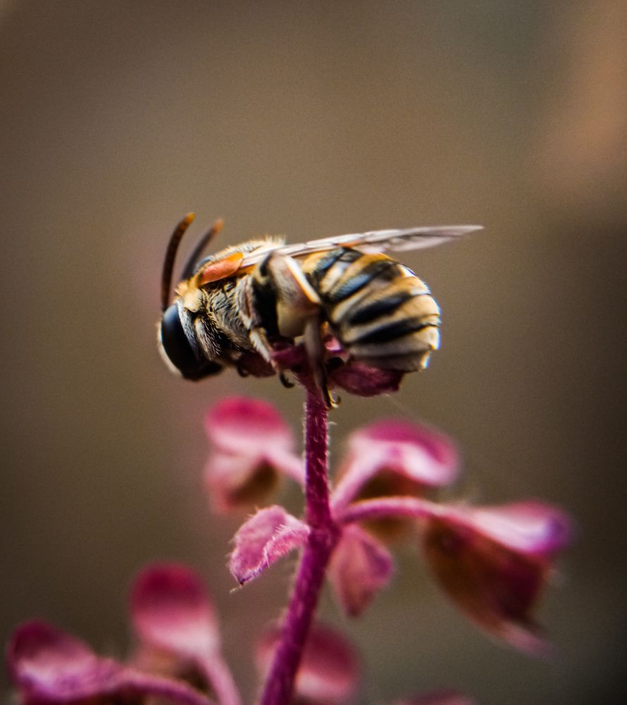Photograph by Arnab Mallick