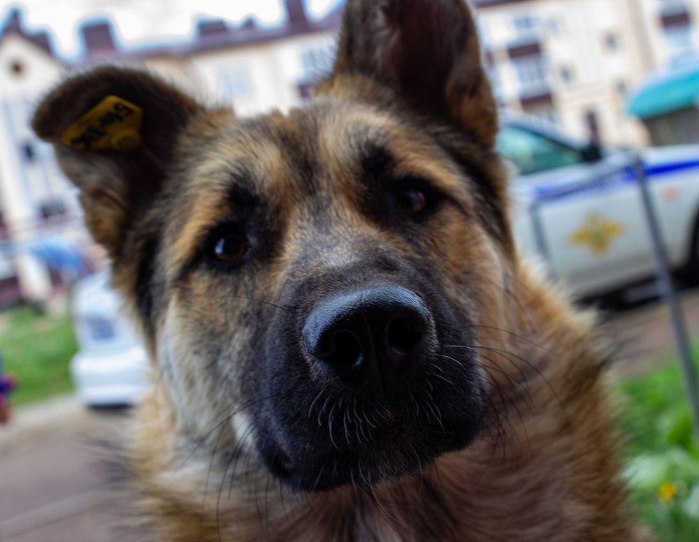 Photograph by Алексей Тихонов