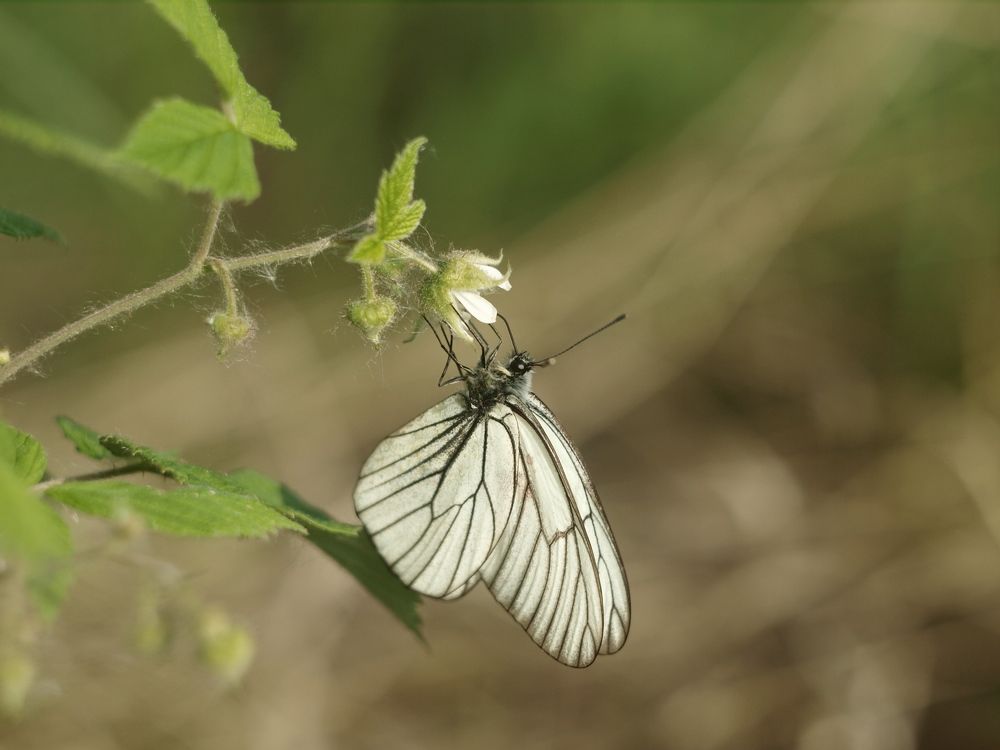 Photograph by Дмитрий Васючков