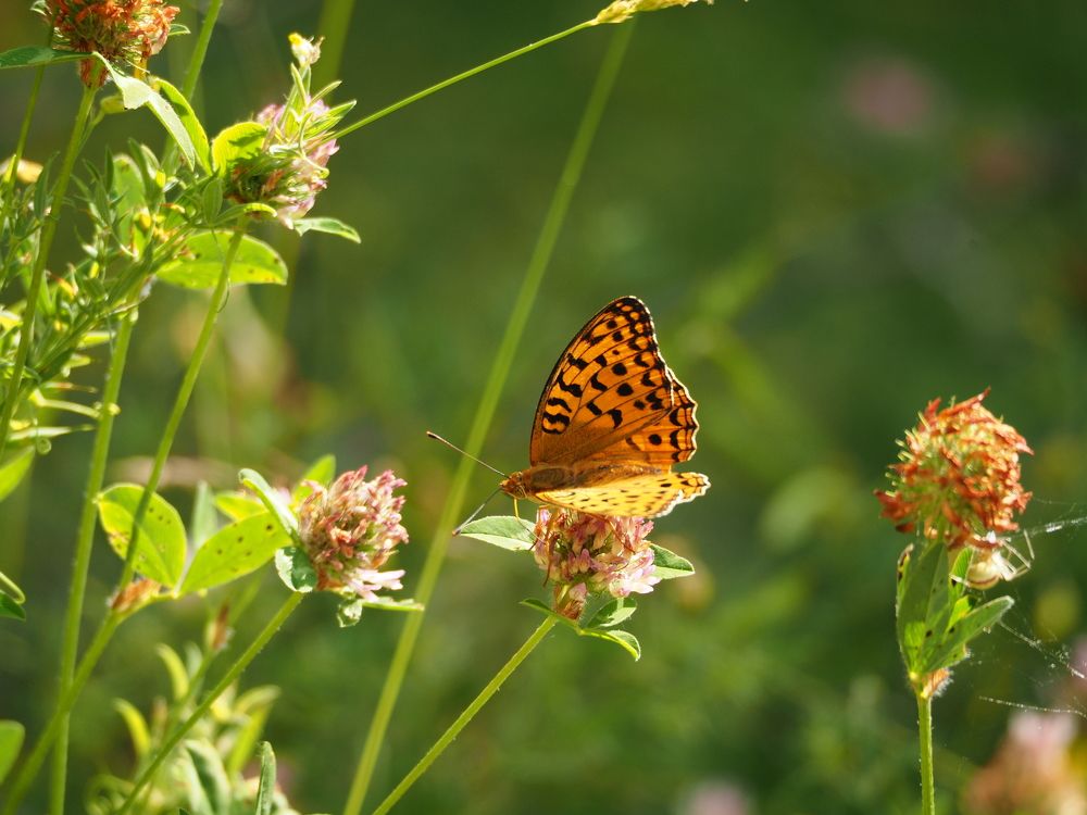 Photograph by Anna Zelinskaya
