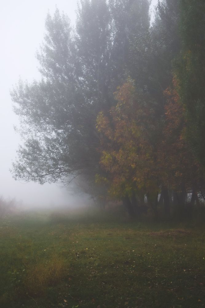 Photograph by Анна Федотова