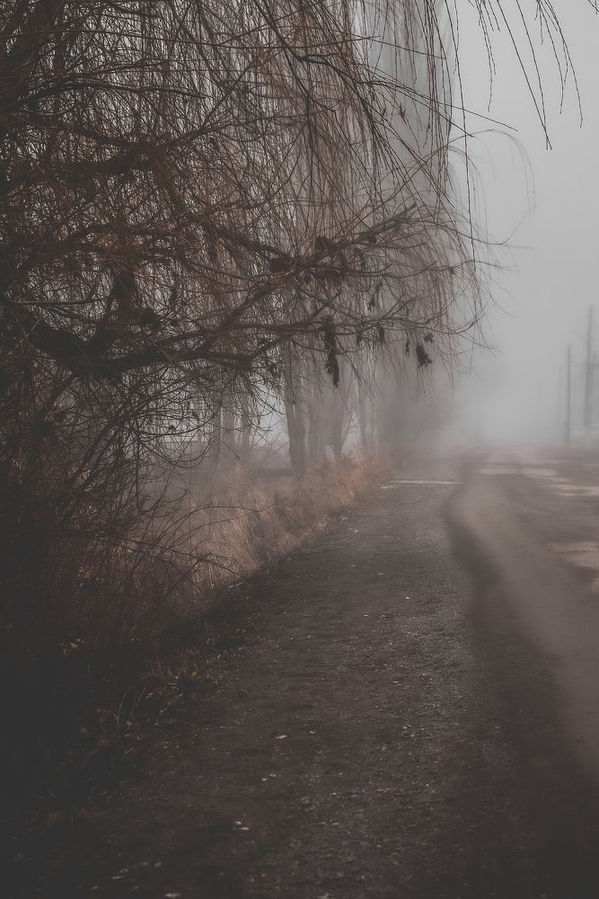 Photograph by Анна Федотова