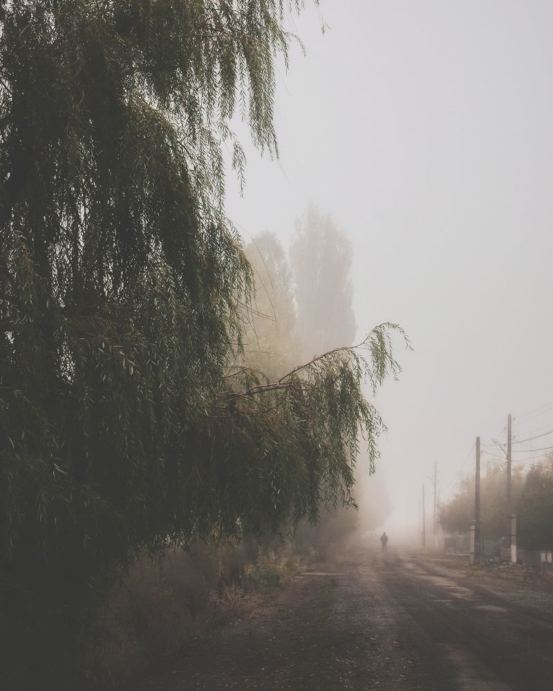 Photograph by Анна Федотова