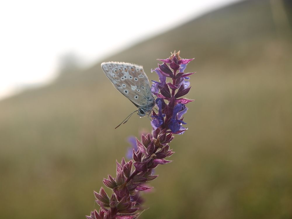 Photograph by Дмитрий Васючков