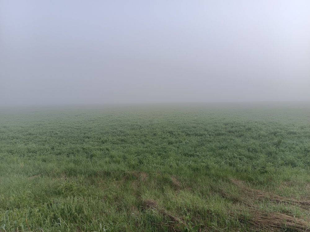 Photograph by Аркадий Калугин