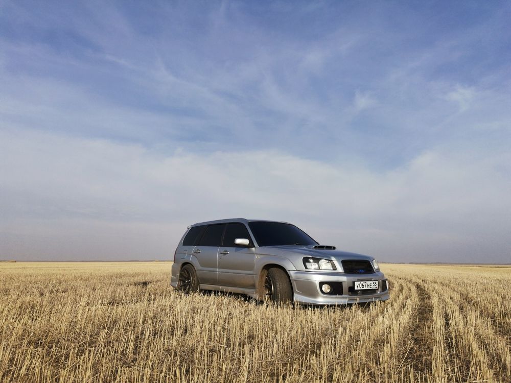 Photograph by Galina Belinskya