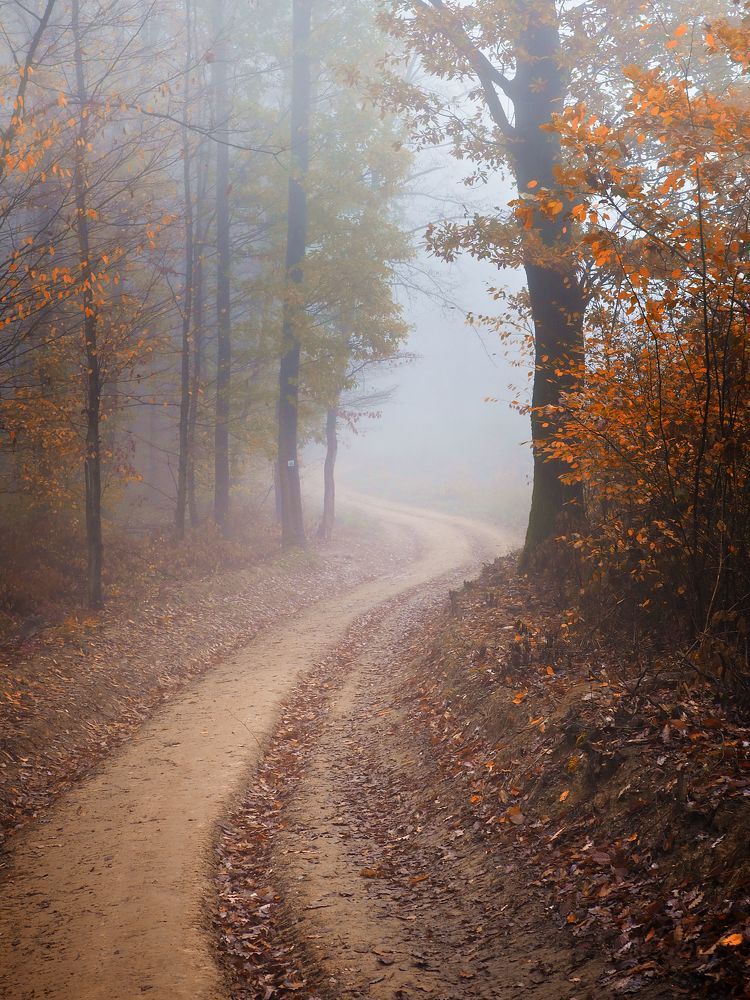 Photograph by Adrian Eperjessy