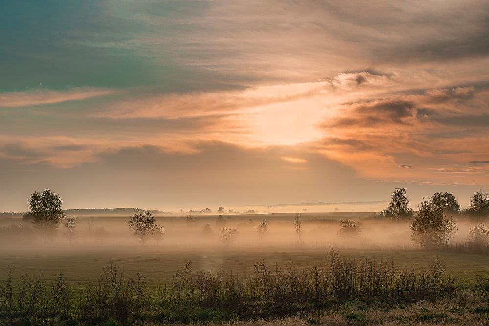 Photograph by Natalia Antipas