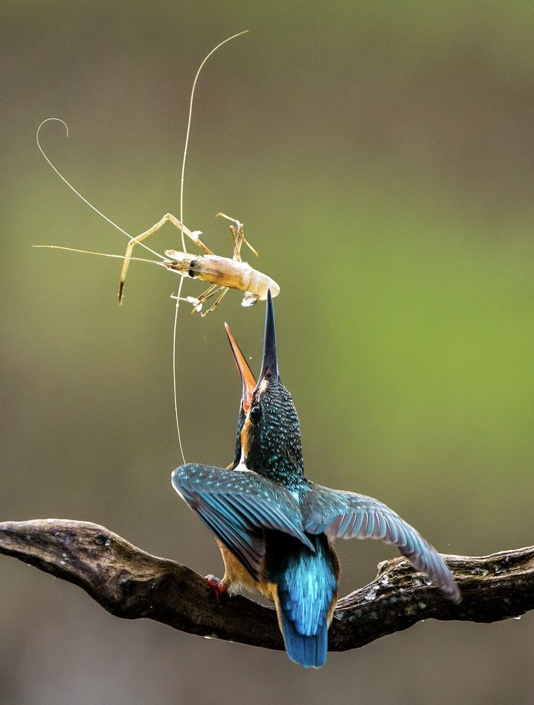 Photograph by Viet Nguyen Ho