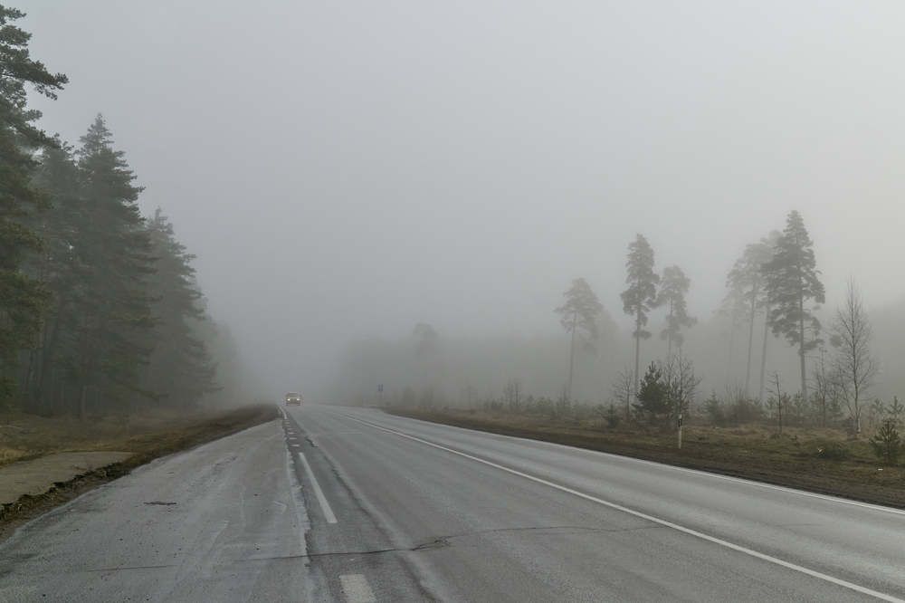 Фотография автора Igors Selivanovs