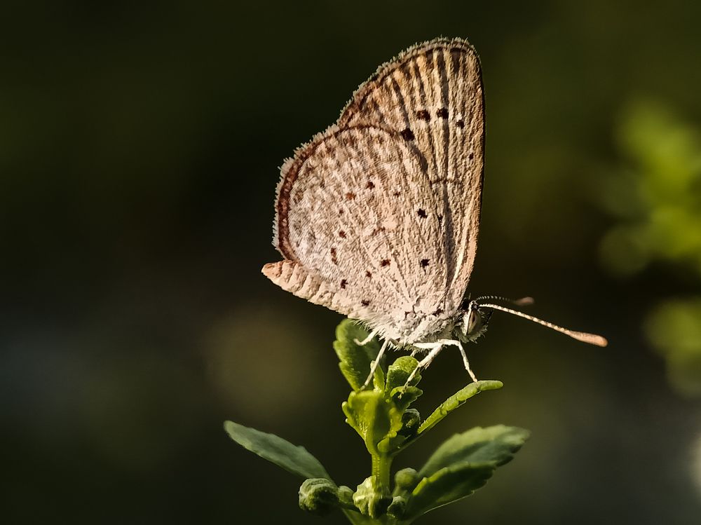 Photograph by Sheryne Hazel Suarez