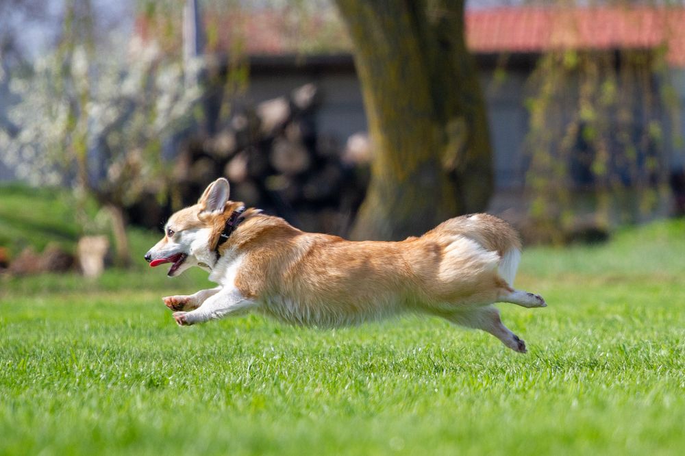 Фотография автора Анна Яковенко