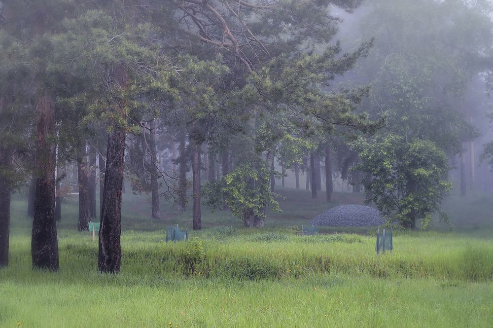 Photograph by Ирина Александрович