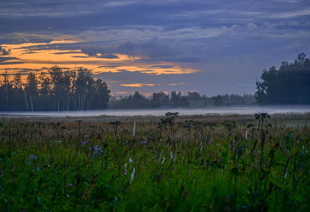 Стелется туман