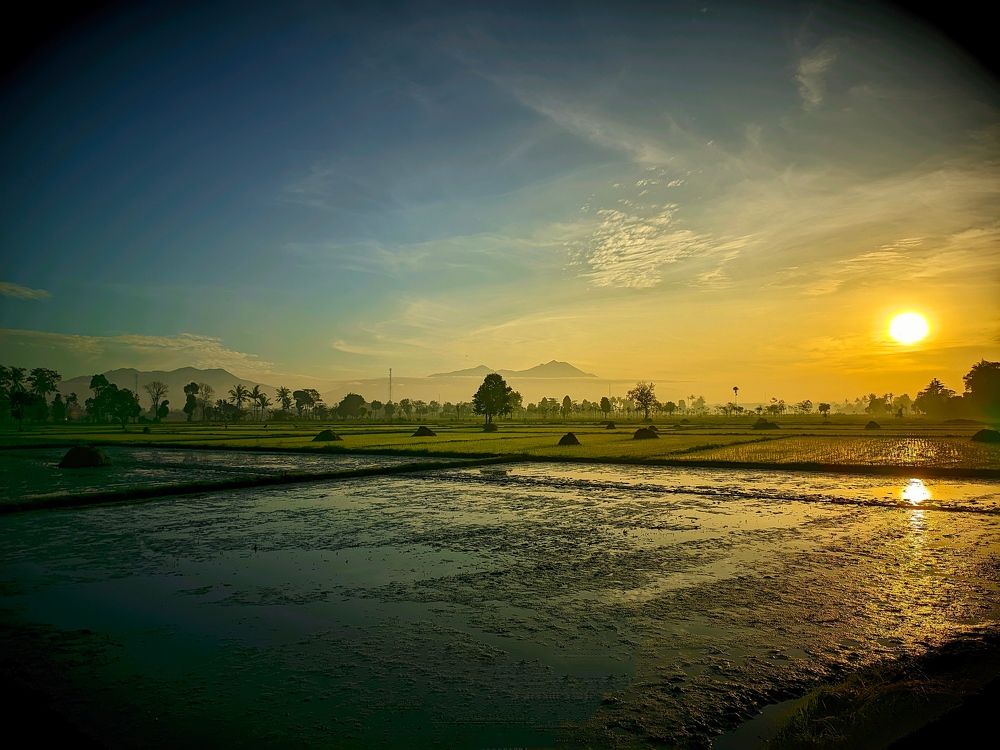 Photograph by Dwi Agus