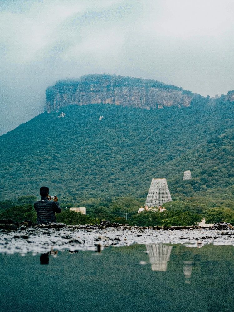 The Heaven - TEMPLE GOPURAMS
