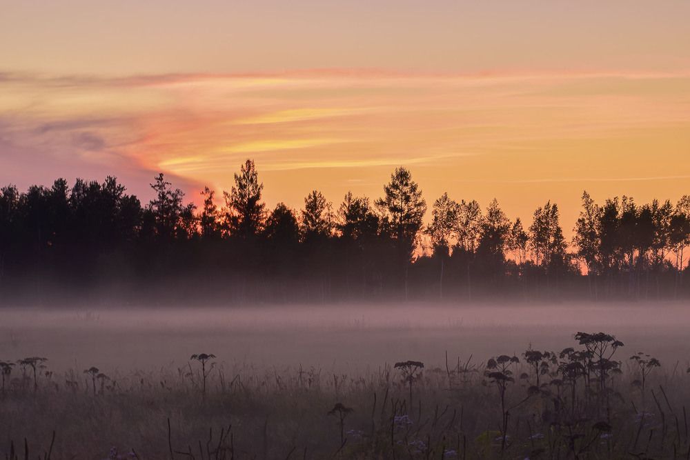 Фантастический туман