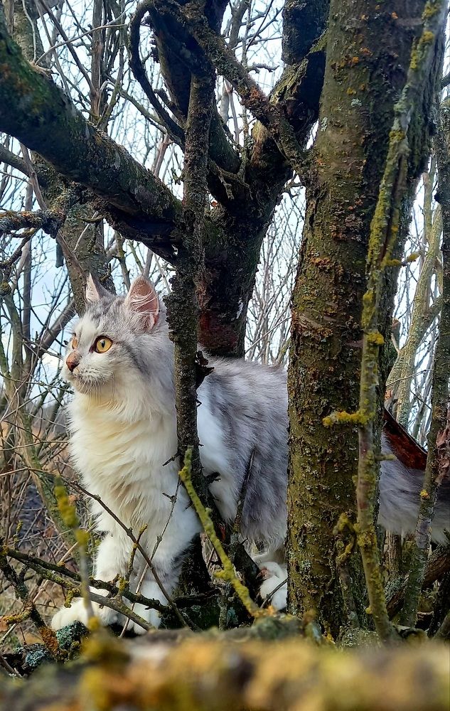 Photograph by Marina Kozlova