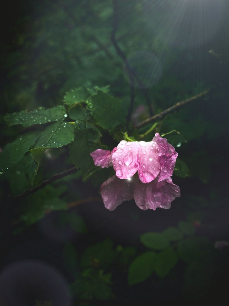 Photograph by Анна Зернова