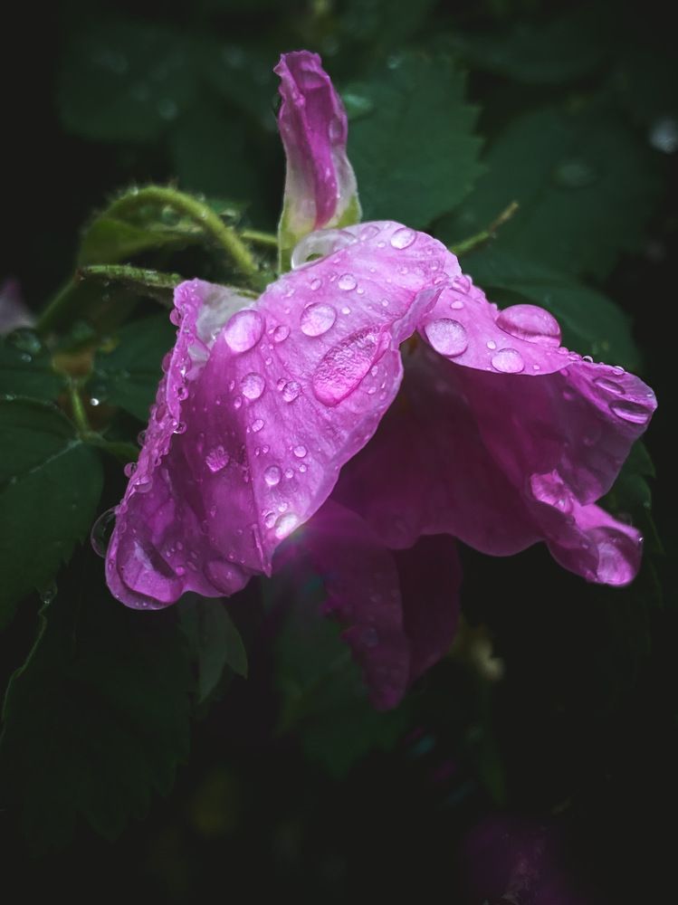 Photograph by Анна Зернова